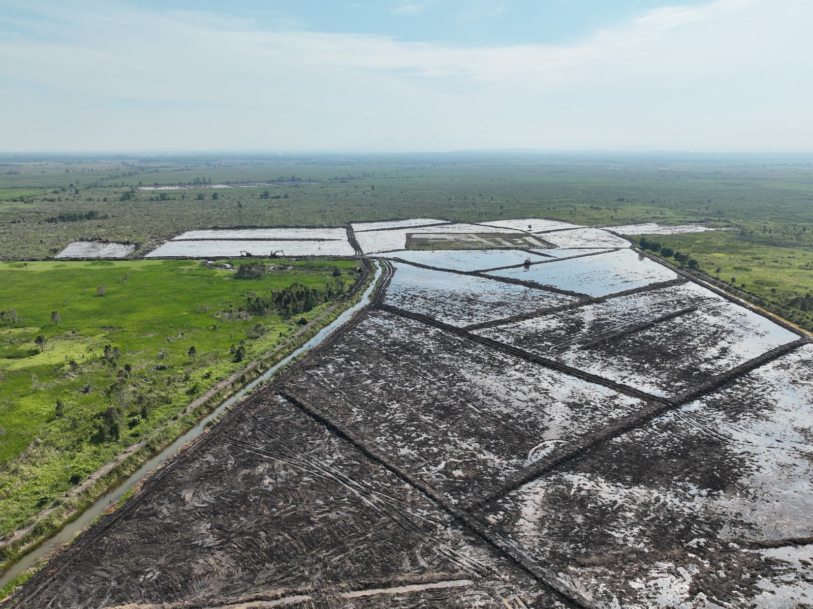 Land Clearing 2